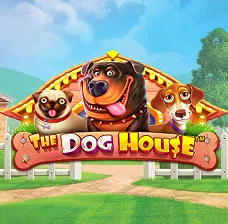 Odbierz darmowe spiny bez depozytu Mostbet